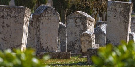 Nekropola Radimlja - 10