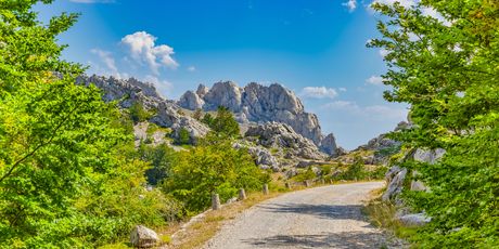 Majstorska cesta - 4