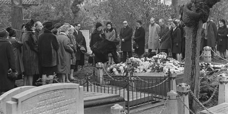 Kraljica Juliana - 3