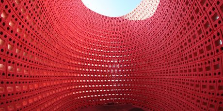 Ant Workshop u Yunnanu - 7