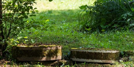 Mlinarenje na Rastokama - 1