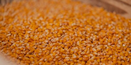 Mlinarenje na Rastokama - 2