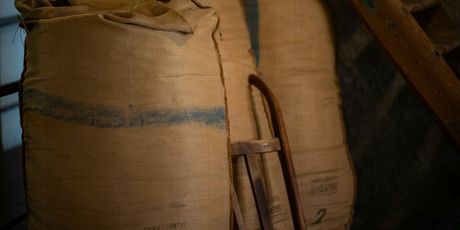 Žatec, grad hmelja i piva - 6