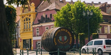 Žatec, grad hmelja i piva - 8