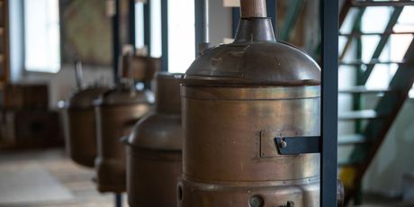 Žatec, grad hmelja i piva - 9