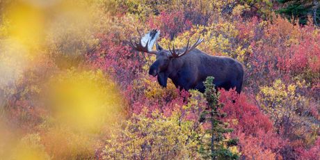 Zvonimir Abramović i Marija Keresteš - Putopsesija - 20