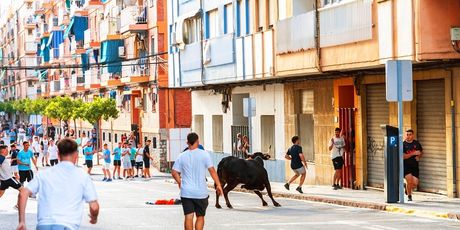 Pamplona - 4