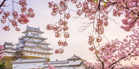 Himeji - 5