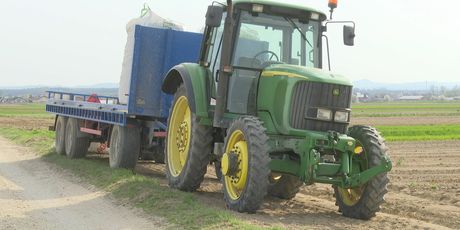 Sadnja krumpira u Međimurju - 1