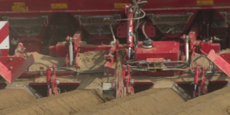 Sadnja krumpira u Međimurju - 2