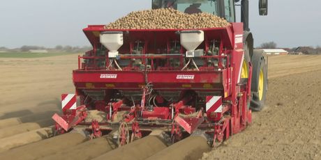 Sadnja krumpira u Međimurju - 4