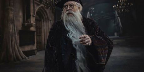 Serija Harry Potter - 7