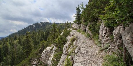 Novi kviz općeg znanja - 14