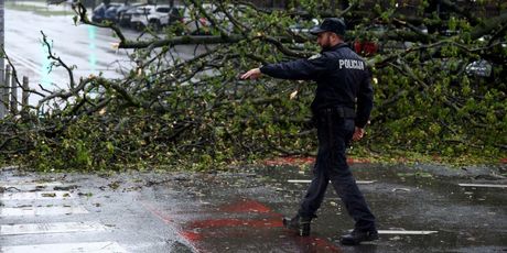 Srušena stabla u Zagrebu