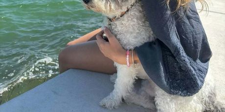 Danielle Collins - 3