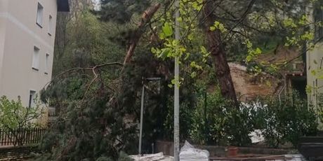 Ida Prester na Instagramu