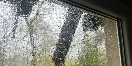 Stabla im pala na kuću, šteta je ogromna - 10