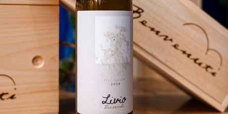 Benvenuti vina - 6