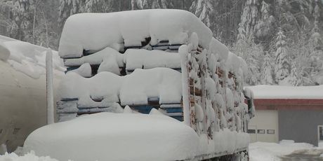 Stanje u Gorskom kotaru