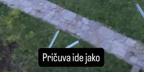 Ella Dvornik na Instagramu