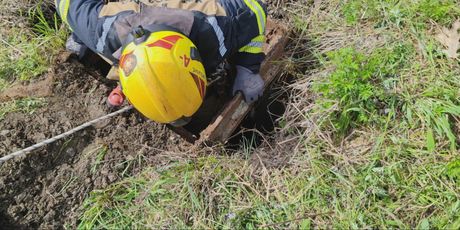 Vatrogasci spasili psa - 1