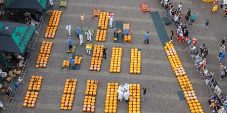 Sajam sira u Alkmaaru - 7