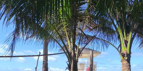 Antea Ćurin na Filipinima - 64