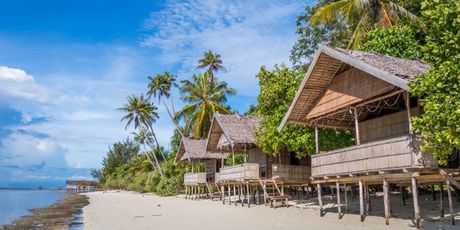 Raja Ampat - 21