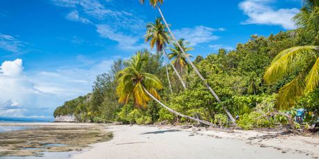 Raja Ampat - 23