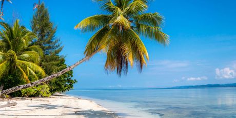 Raja Ampat - 39