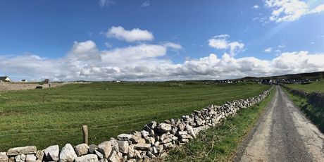 Cliffs of Moher - 8