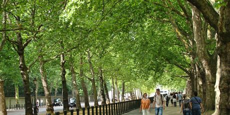 London - 6