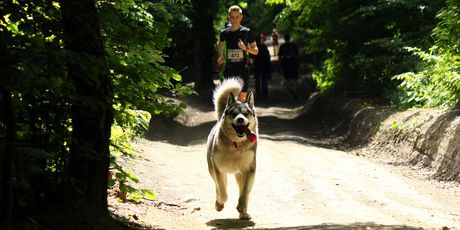 Utrka Boroša - 10