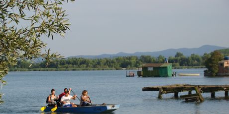 Drava