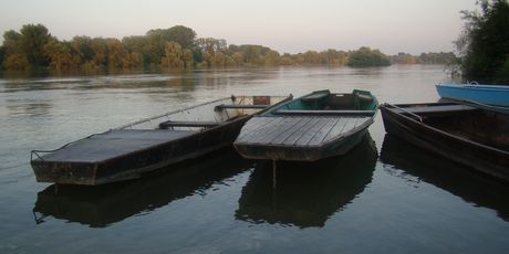 Drava