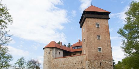 Stari grad Dubovac