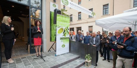 Kuća istarskog maslinovog ulja - 3