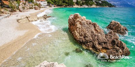 Plaža Kutleša, Mimice
