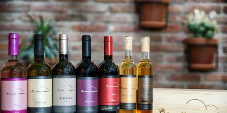 Vinarija Benvenuti - 5