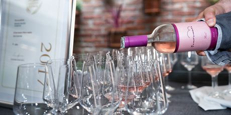 Vinarija Benvenuti - 6
