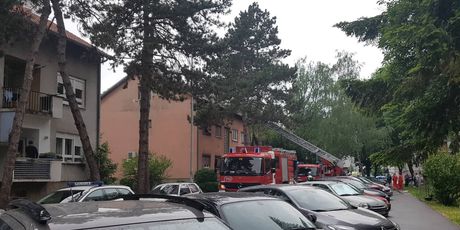 Požar u Remetinečkom gaju (Foto: Dnevnik.hr)