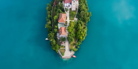 Bled