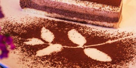 Cacao - 18