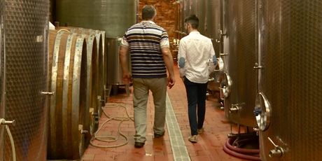 Vinski podrumi 21. stoljeća (Foto: Dnevnik.hr) - 2