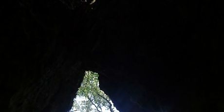 Kočje na Korčuli - 16