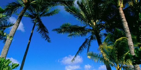 Prekrasan otok Oahu