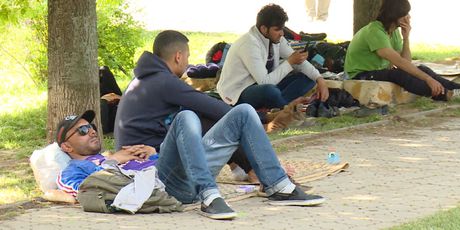 Tisuće izbjeglica iz BiH preko Hrvatske žele do zapadne Europe (Foto: Dnevnik.hr)