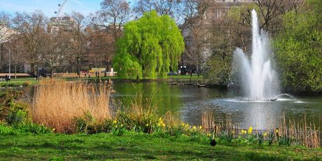 St. James's Park