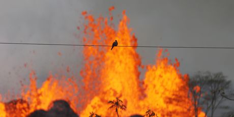 Vulkan Kilauea i dalje je vrlo aktivan (Foto: AFP)