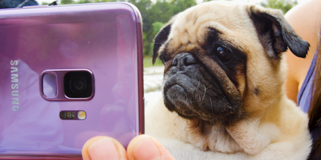 Samsung Galaxy S9 (Foto: Samsung)